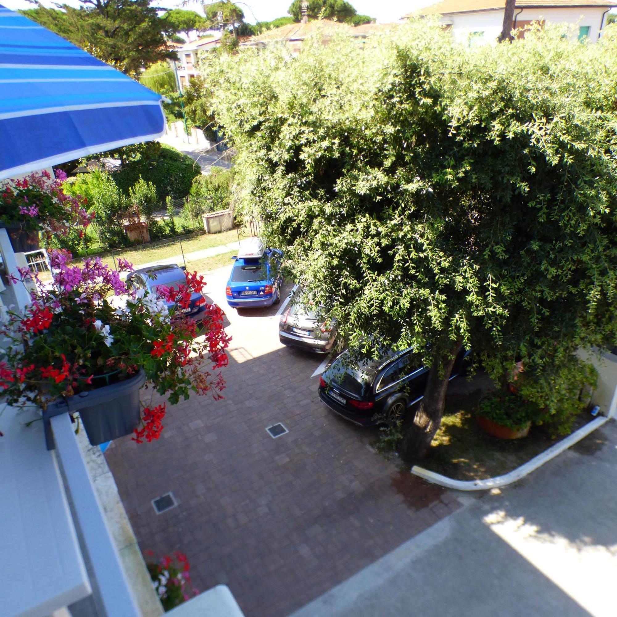 Complesso Oasi Apartment Tirrenia Bagian luar foto